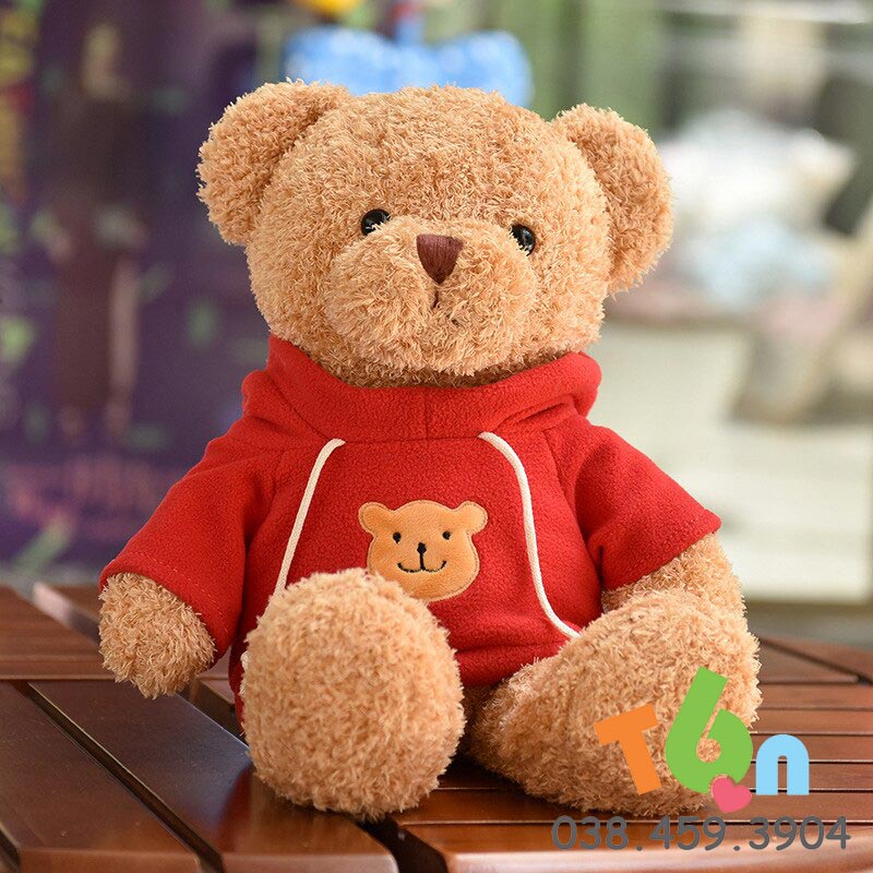 Gấu teddy áo hoodie màu đỏ